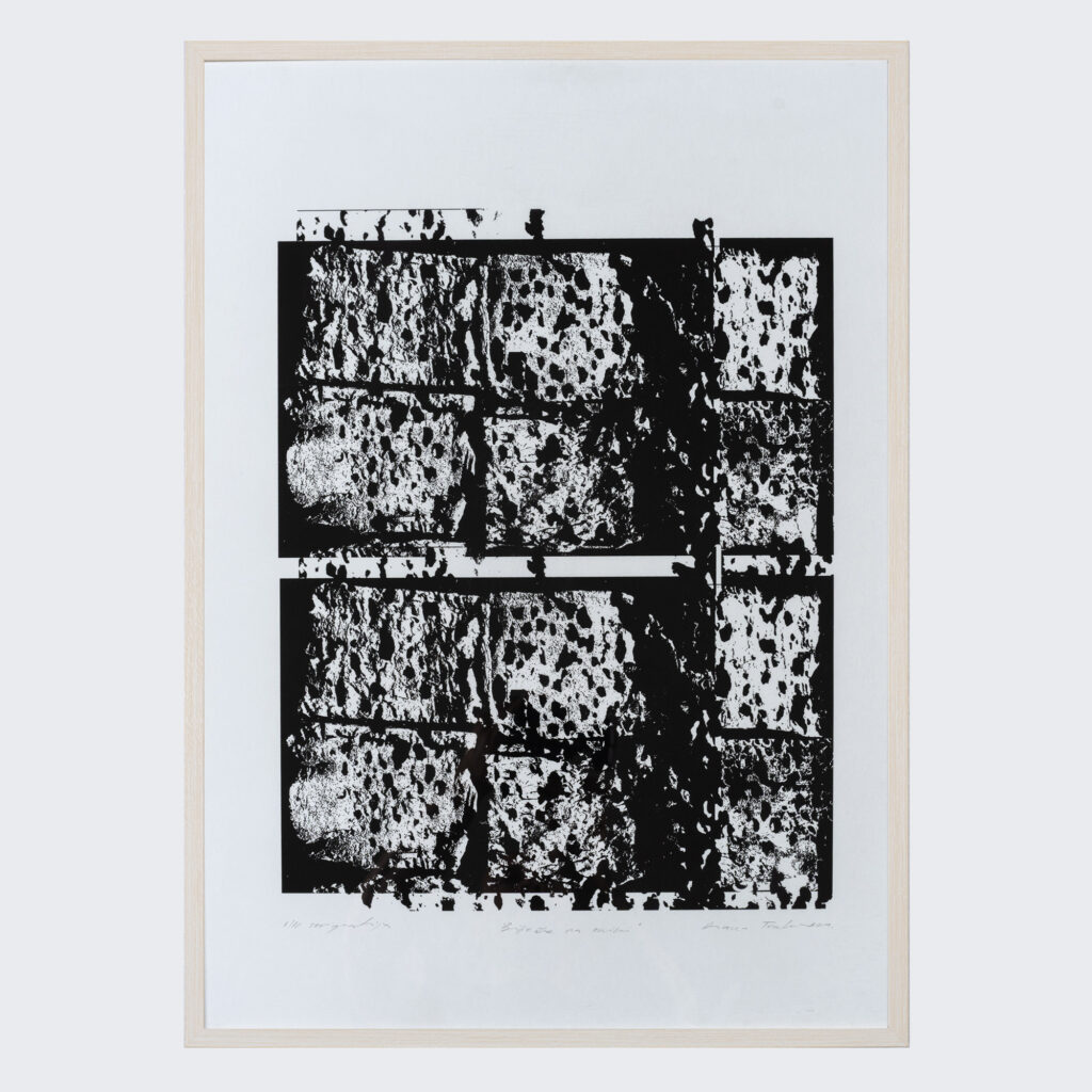 Umjetnine-web_5_Diana Trohar