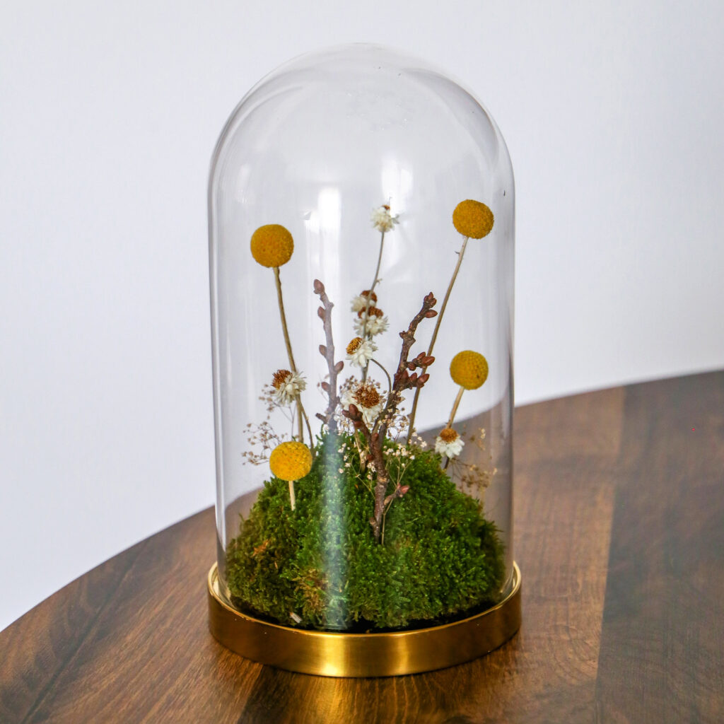 Umjetnine-web_71_Vanja Blumenšajn